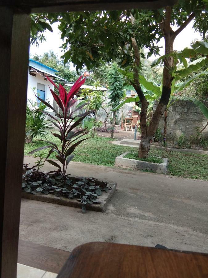 Safsia Homestay Toyapakeh Exteriör bild